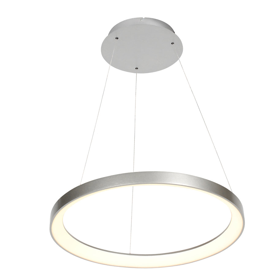 Stalen hanglamp Ringlede 4612ST met kabelhefsysteem