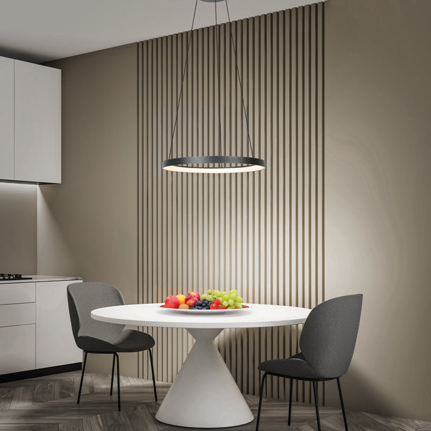 Zwarte hanglamp Ringlede 4612ZW met kabel-liftsysteem