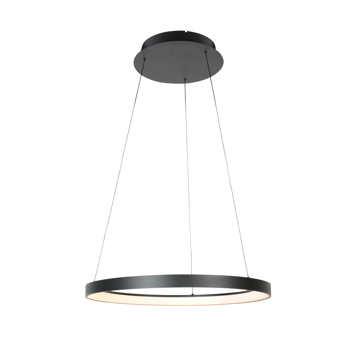 Zwarte hanglamp Ringlede 4612ZW met kabel-liftsysteem