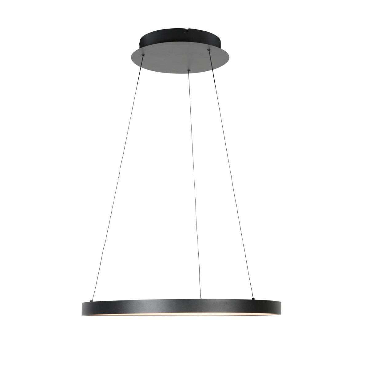 Zwarte hanglamp Ringlede 4612ZW met kabel-liftsysteem