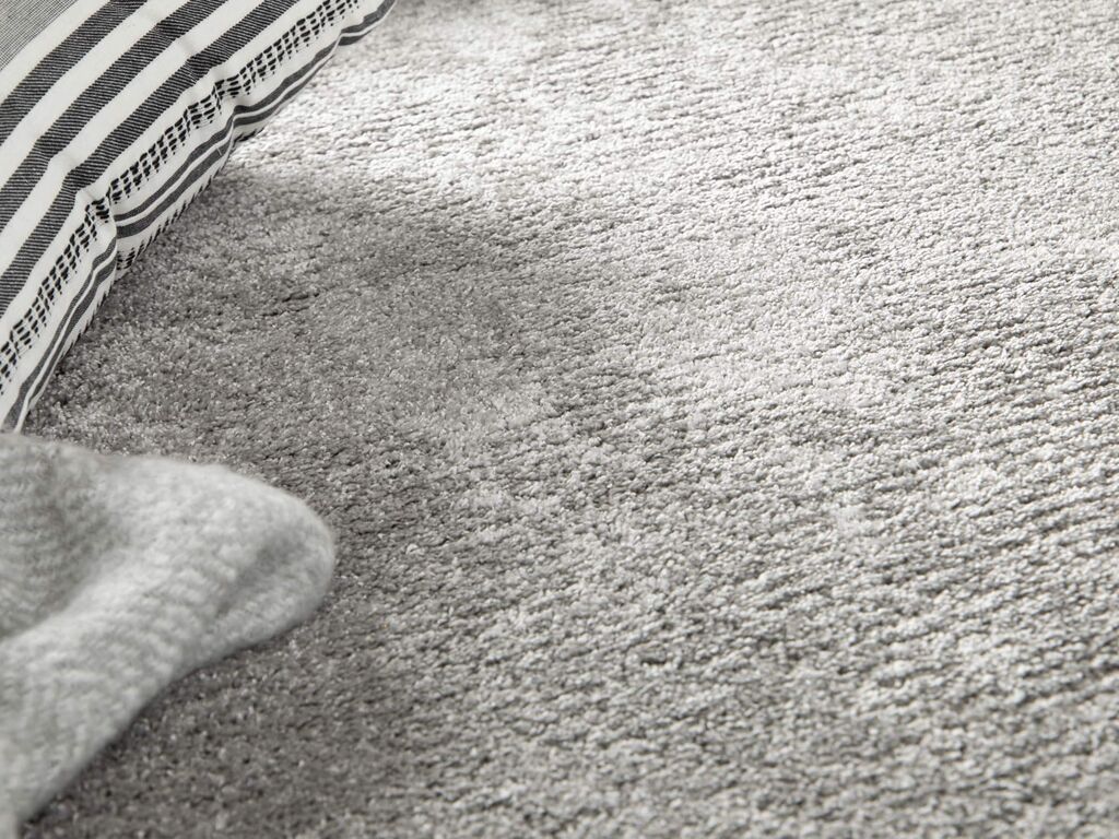 Pedri 70 160x230