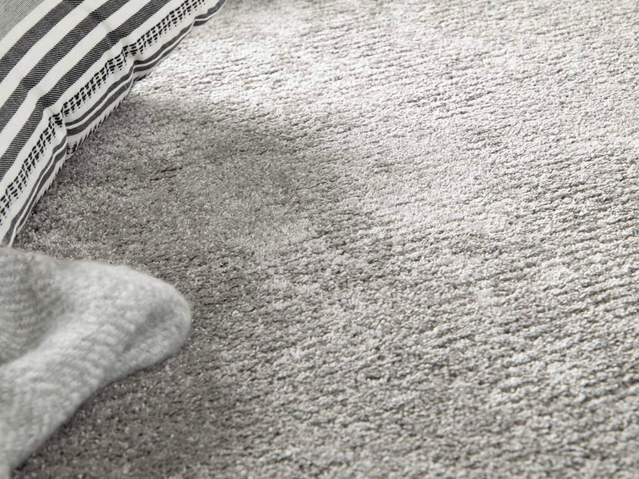 Pedri 70 200x290