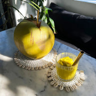 De zeegras schelponderzetter - wit