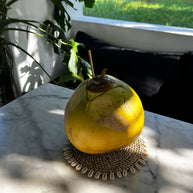 De pannenonderzetter van zeegras in schelpvorm - naturel