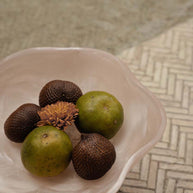 De organische fruitschaal van hars - roze/wit