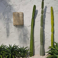 De SiriKit wandlamp - naturel