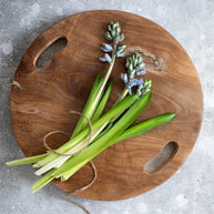 Het teakwortel dienblad - Naturel - M