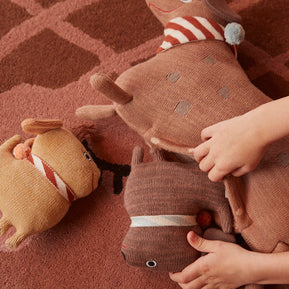 Hunsi-hond met twee puppy's Coco en Max