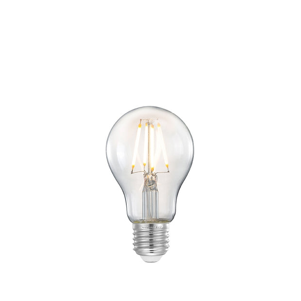 LABEL51 Lichtbronnen Kooldraadlamp - Helder glas - - Bol M
