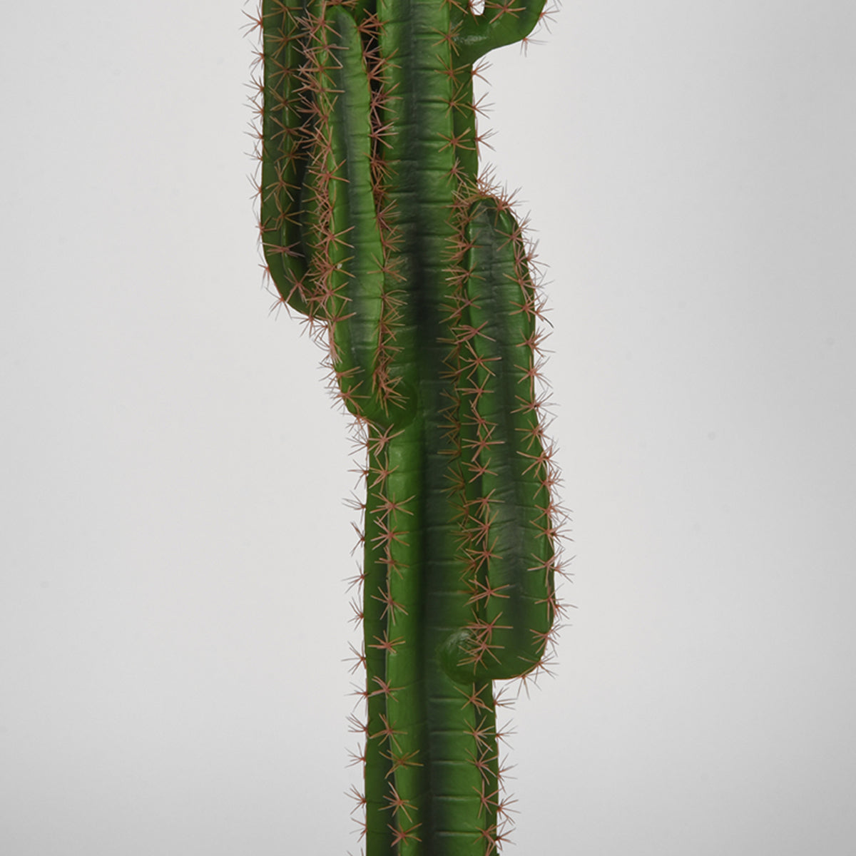 LABEL51 Woondecoratie Cactus - Groen - Kunststof - 130 cm