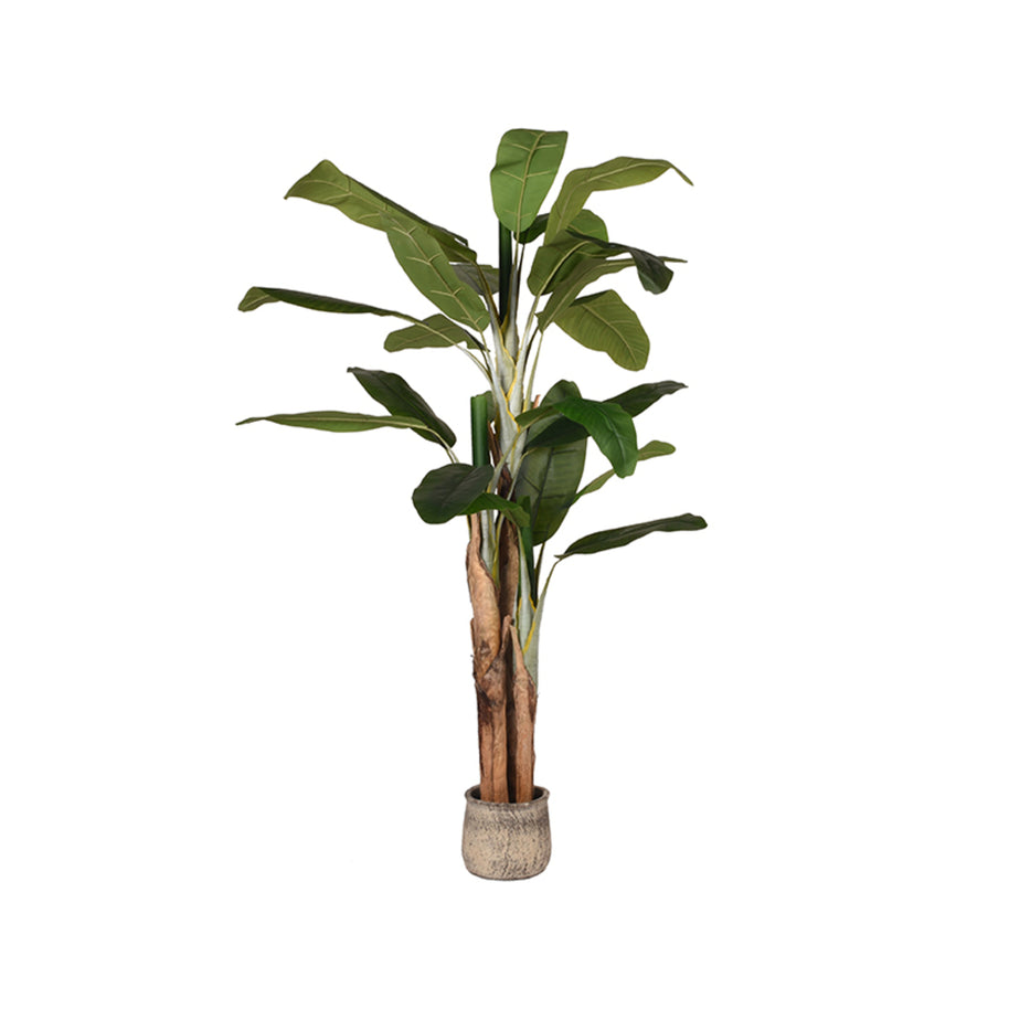 LABEL51 Woondecoratie Musa - Groen - Kunststof - 180 cm