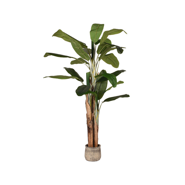 LABEL51 Woondecoratie Musa - Groen - Kunststof - 180 cm