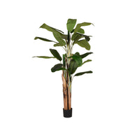 LABEL51 Woondecoratie Musa - Groen - Kunststof - 180 cm