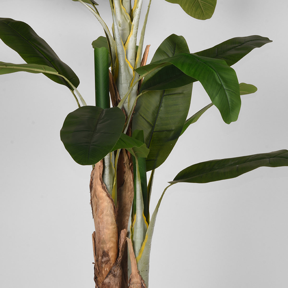 LABEL51 Woondecoratie Musa - Groen - Kunststof - 180 cm