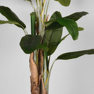 LABEL51 Woondecoratie Musa - Groen - Kunststof - 180 cm
