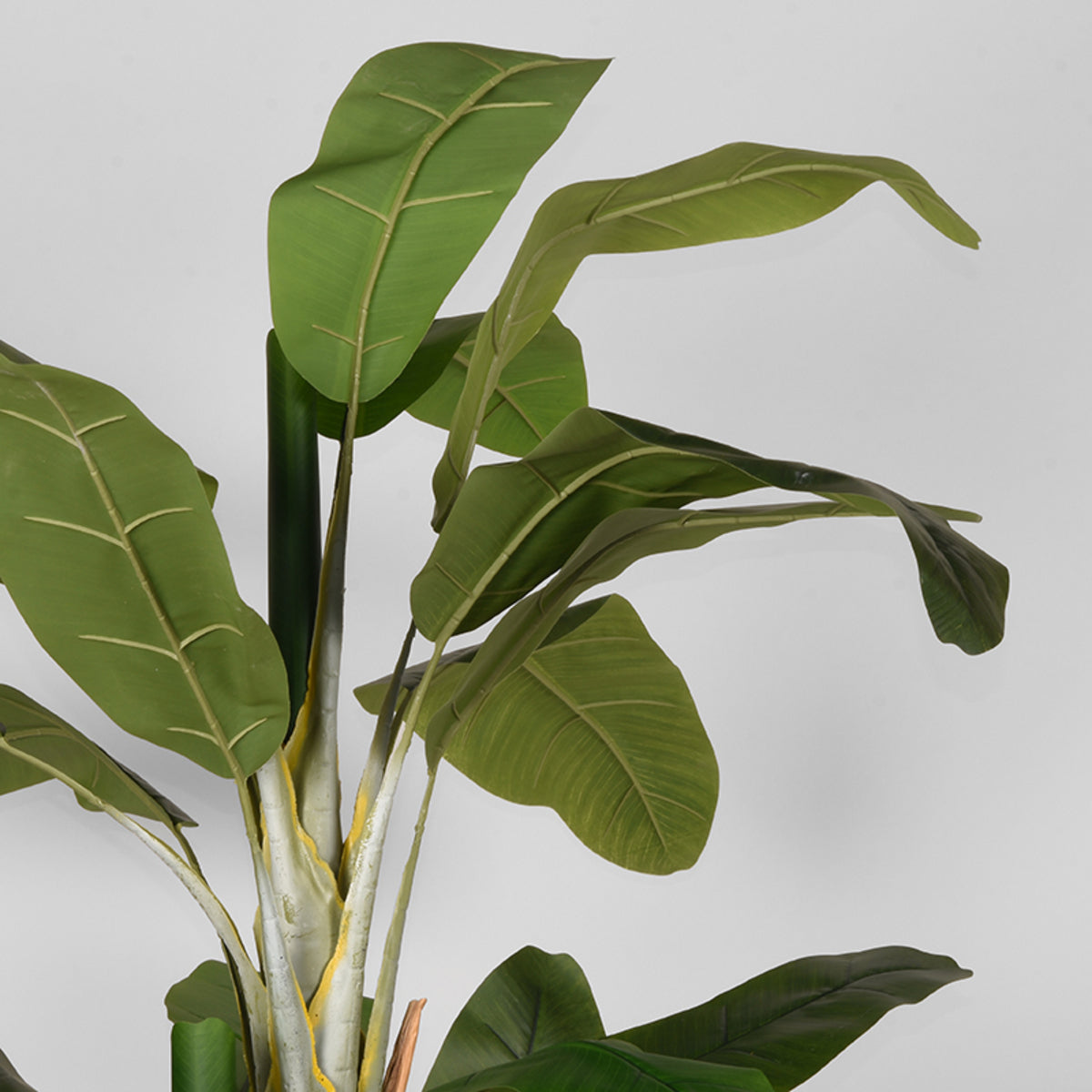 LABEL51 Woondecoratie Musa - Groen - Kunststof - 180 cm